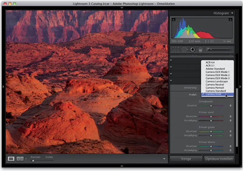 Comparison of RAW and JPEG rendering in Lightroom
