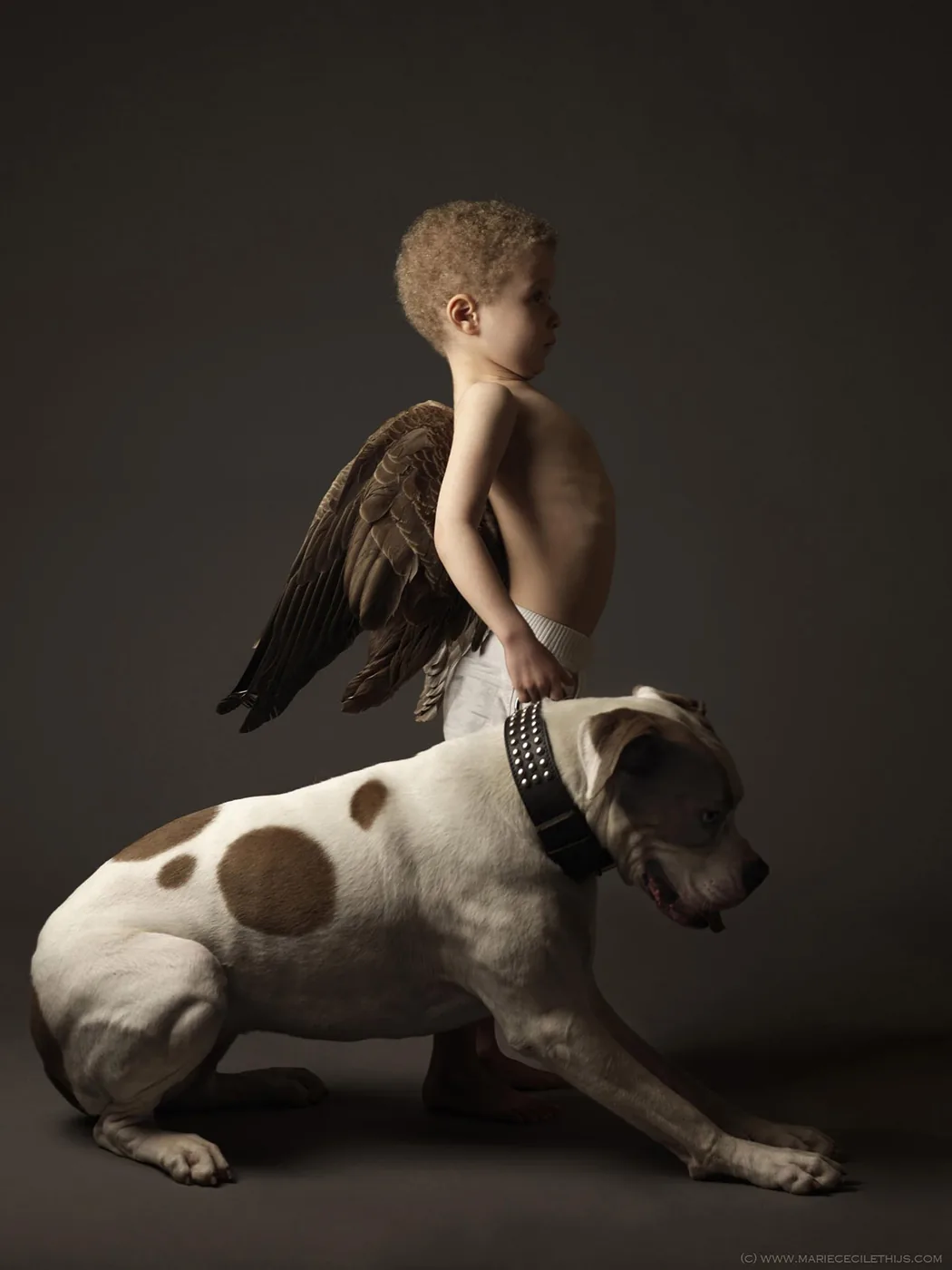 foto van Marie Cécile Thijs van jongen met vleugels op zijn rug en een hond naast zich