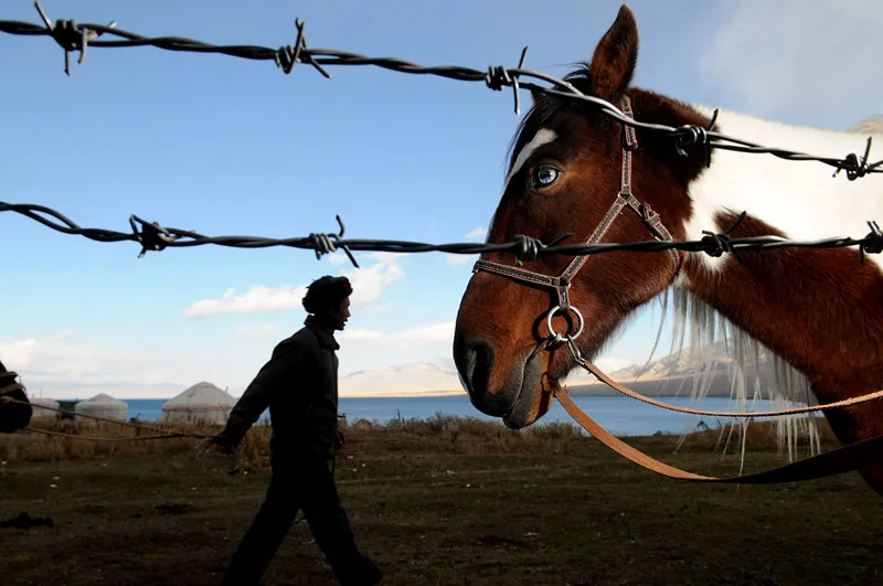 Tom van der Leij Kazakh nomads, West China