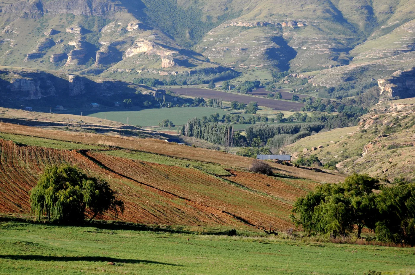 ‍foto: Tom van der Leij van landschap Zuid-Afrika