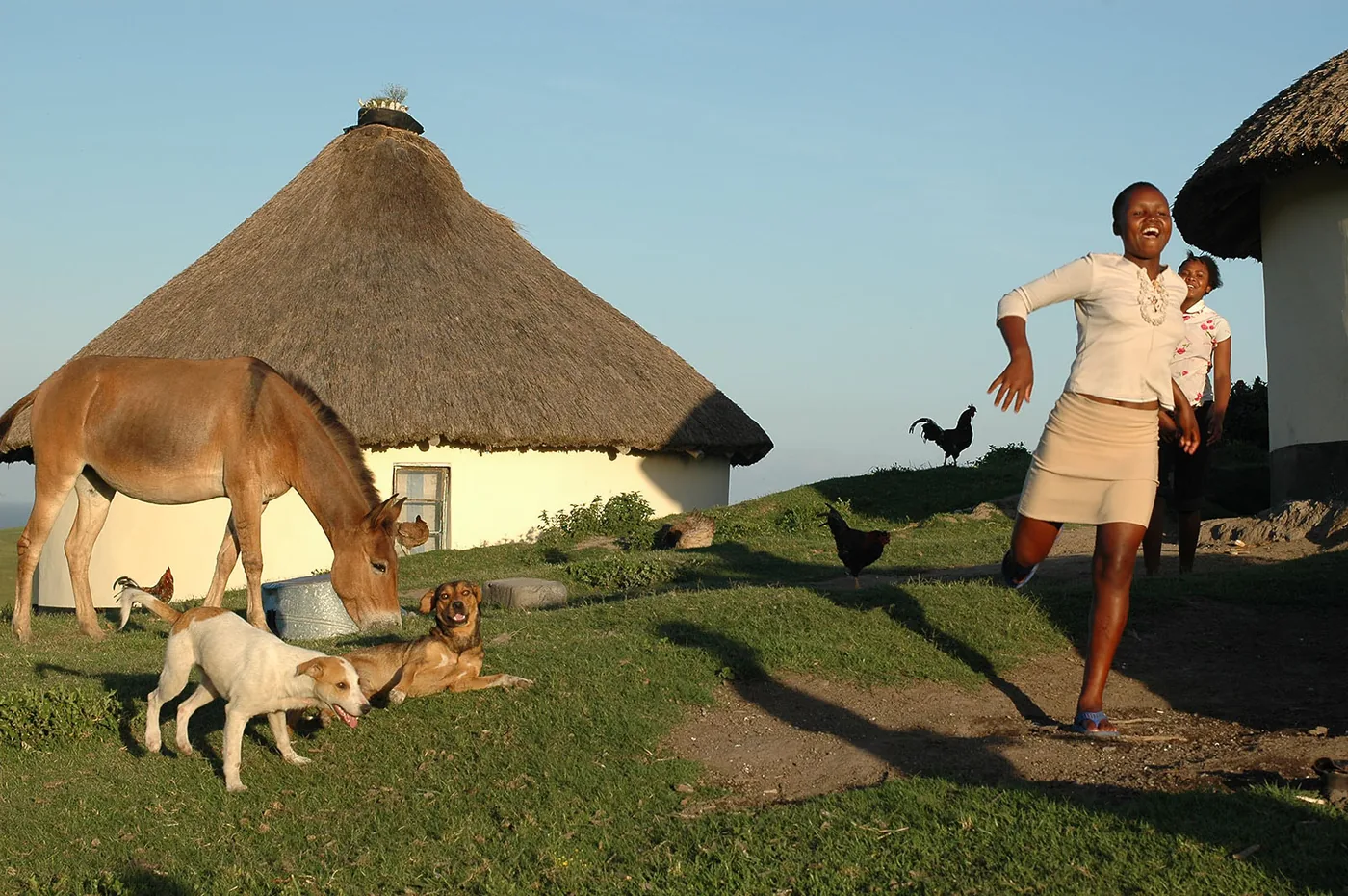 South Africa2