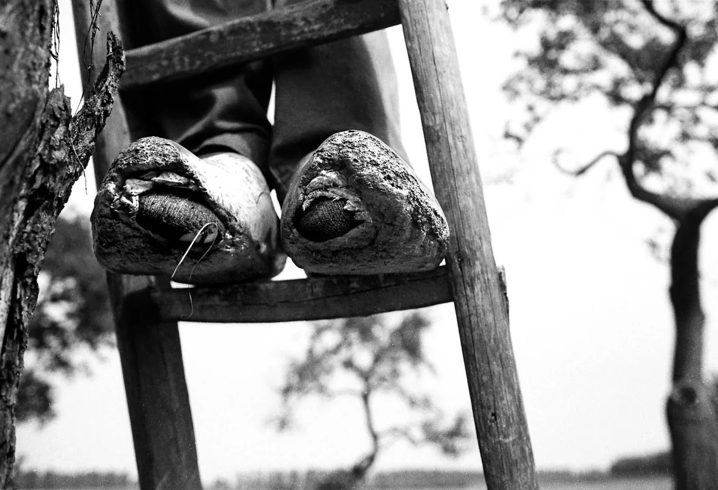 photo: Marcel van den Bergh — broken wooden clogs on a ladder