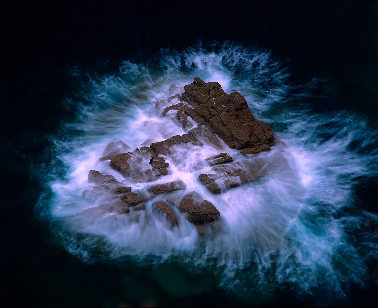By Ruben Smit—a European shag on a rock in Brittany, nearly engulfed by the incoming tide