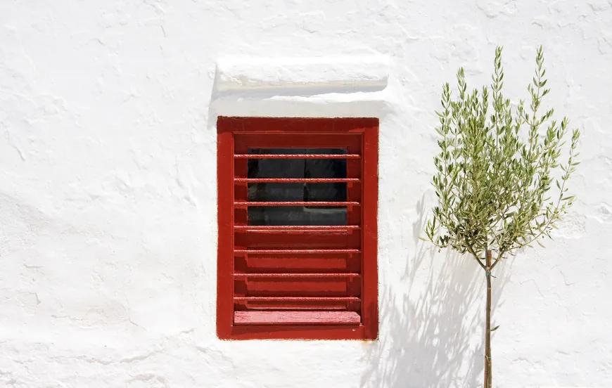 White wall with a red window shutter and a small green tree