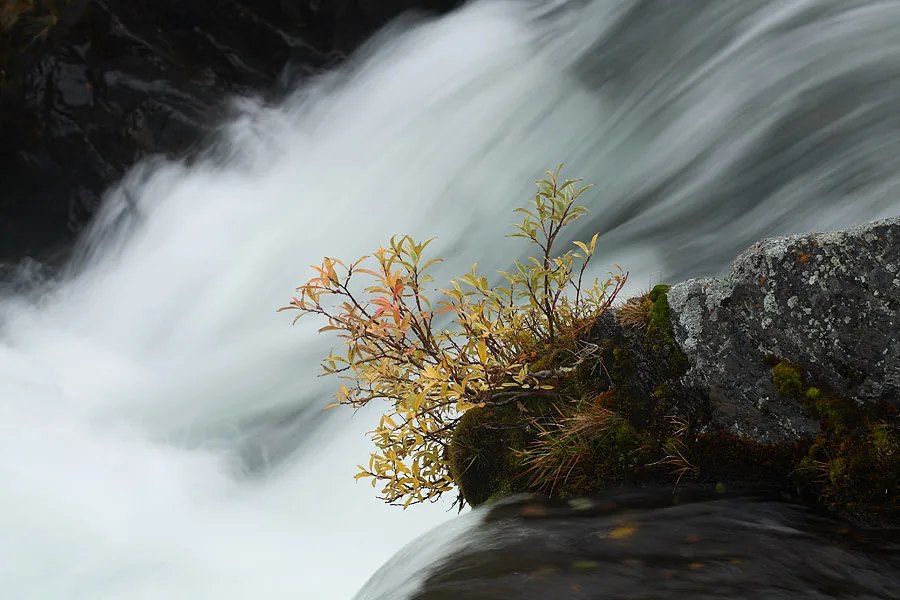 photo: Hillebrand Breuker | Fast-flowing stream