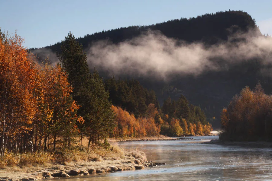 photo: Hillebrand Breuker | Fall colors in Norway,
