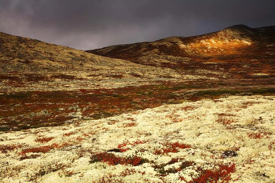 photo: Hillebrand Breuker | Rondane