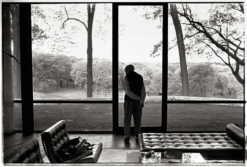 Man stands in front of tall windows and looks out over a wooded landscape