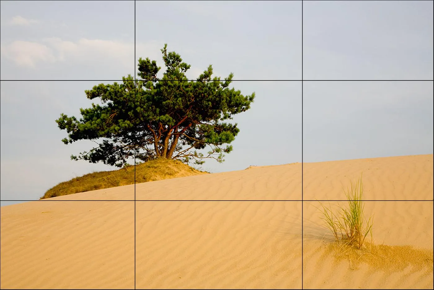 photo: Hillebrand Breuker | Kale Duinen near Appelscha.