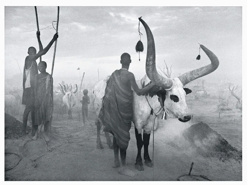 Dinka group in Pagarau cattle camp, South Sudan, 2006, by Sebastião Salgado