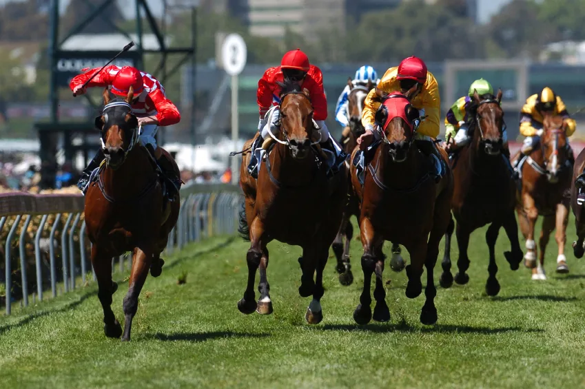 Horse racing with multiple jockeys approaching the camera