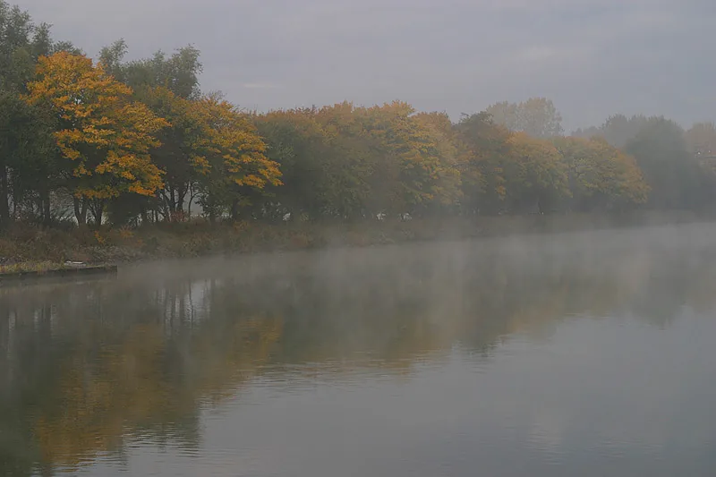 Photo: Aaldrik Pot, trees in mist beside a river