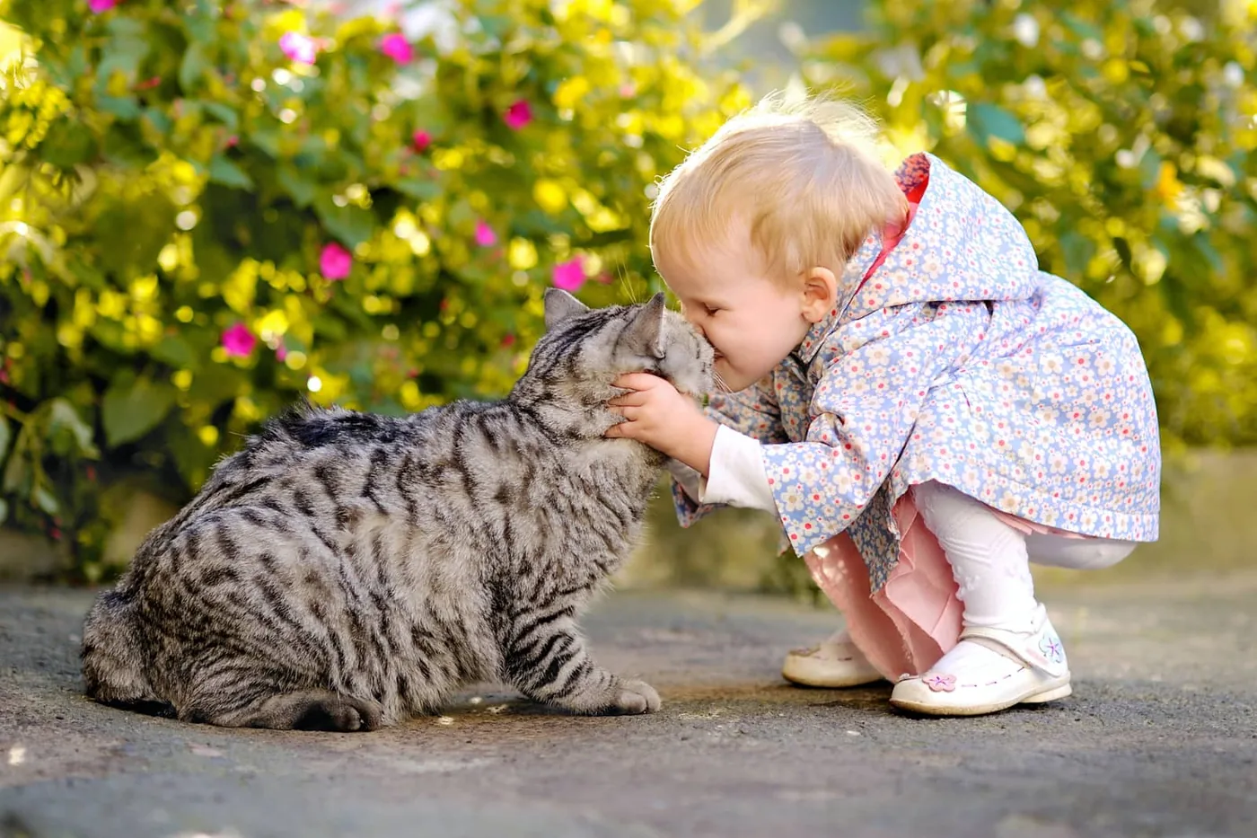 Child next to a cat, photographed from the side