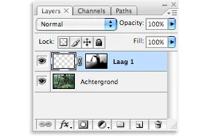 Missing new layer