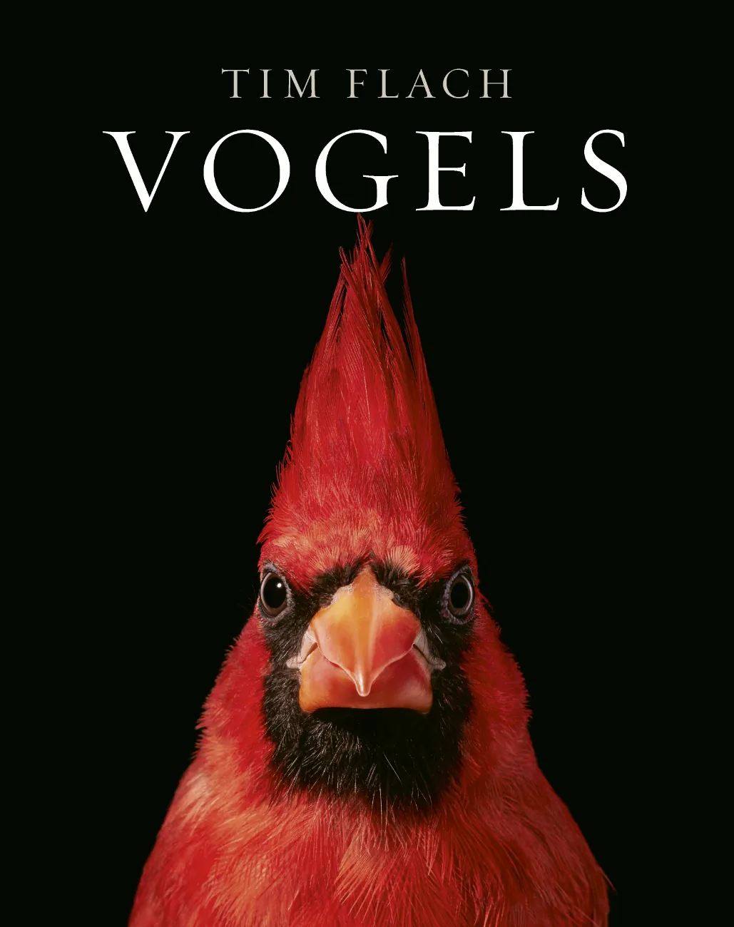 Cover of the book Birds by Tim Flach with a red cardinal