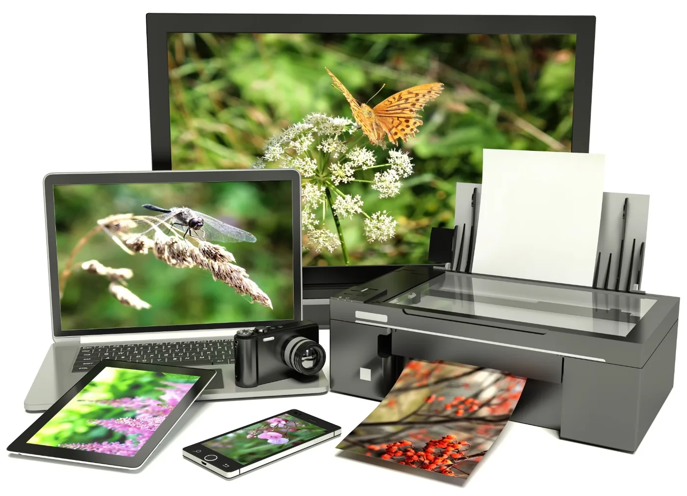 Photo printer with a laptop, monitor, tablet, and smartphone