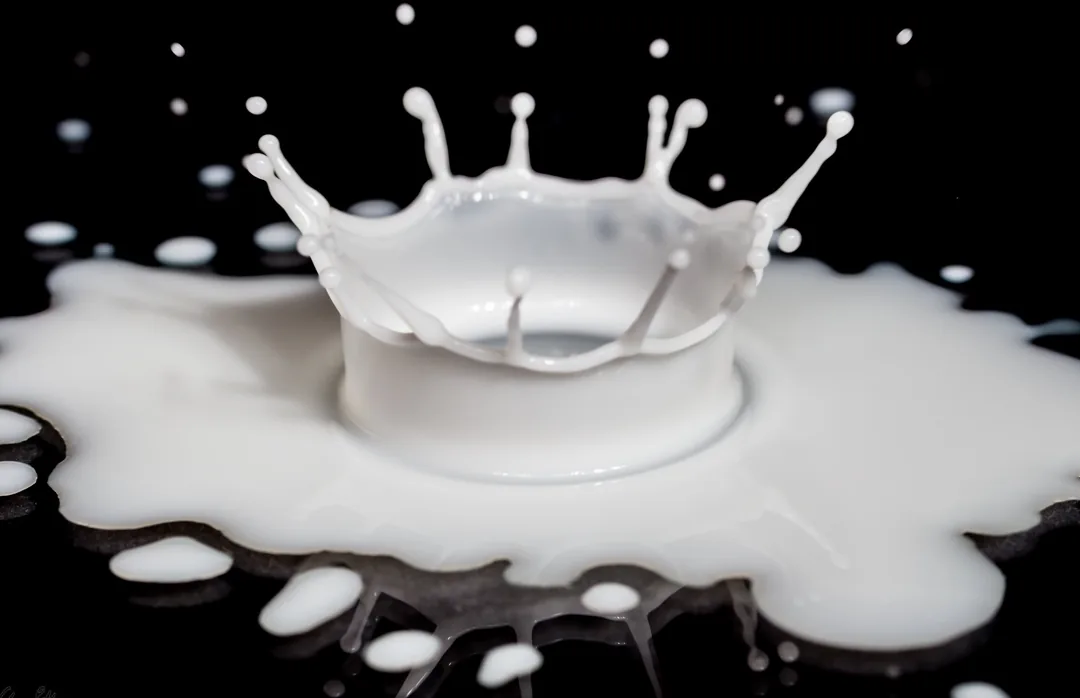 Macro photography shows you the beauty of nature. But a drop of milk is also ideal for macro photography. Photo Chris Pelliccione - Gorilla-kid4352012 (flickr.com)