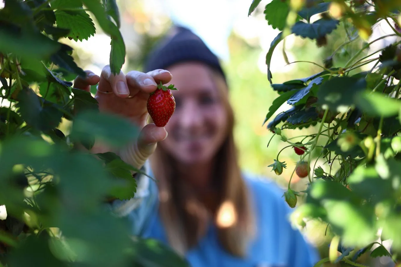 Eos r8 woman with strawberry