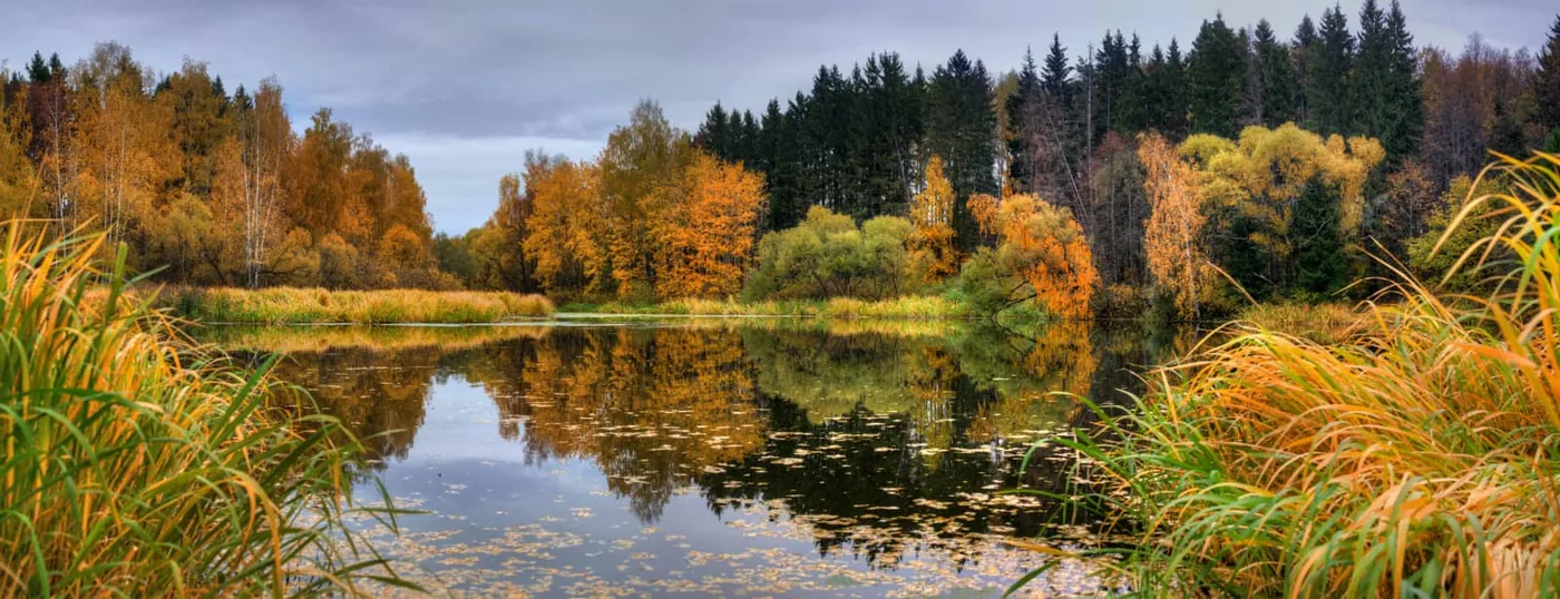 A pond surrounded by trees in autumn colors