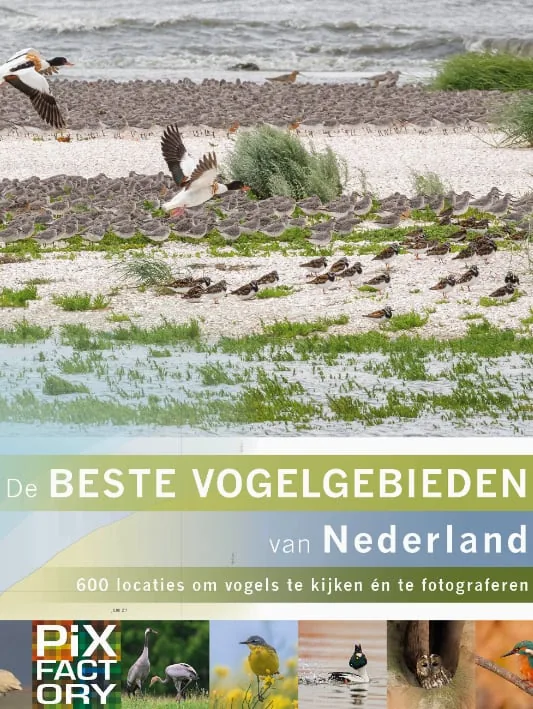 The Best Birding Areas in the Netherlands (Dutch Edition)
