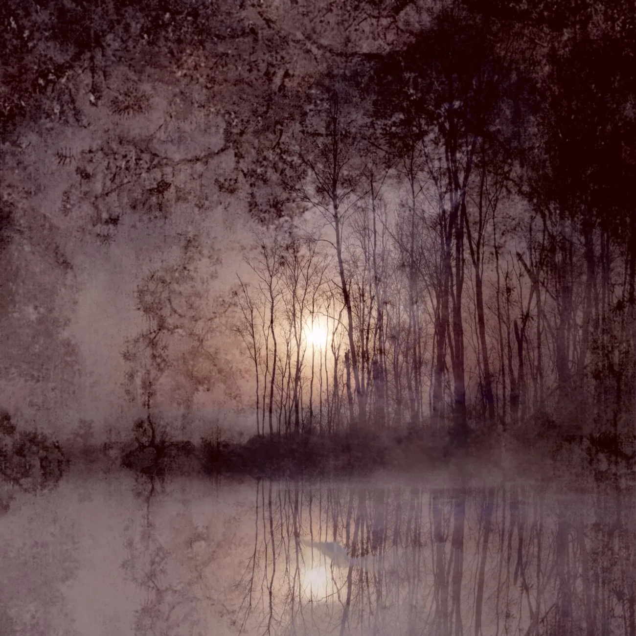 Pictorial Landscape Photography - Saskia Boelsums | Fotografie.nl