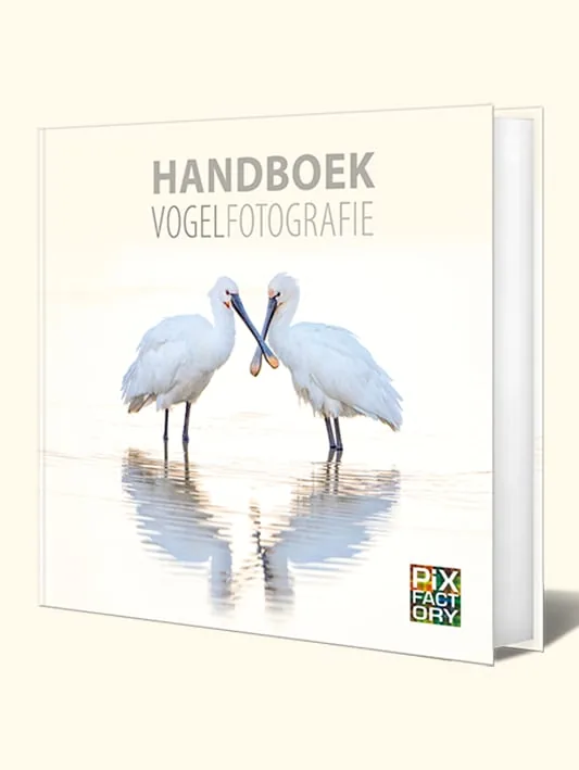 Handboek Vogelfotografie (Bird Photography Handbook, Dutch Edition)