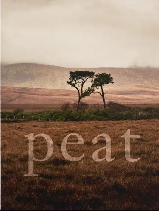 Peat - Bo Scheeringa