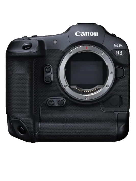 thumbnail image article
