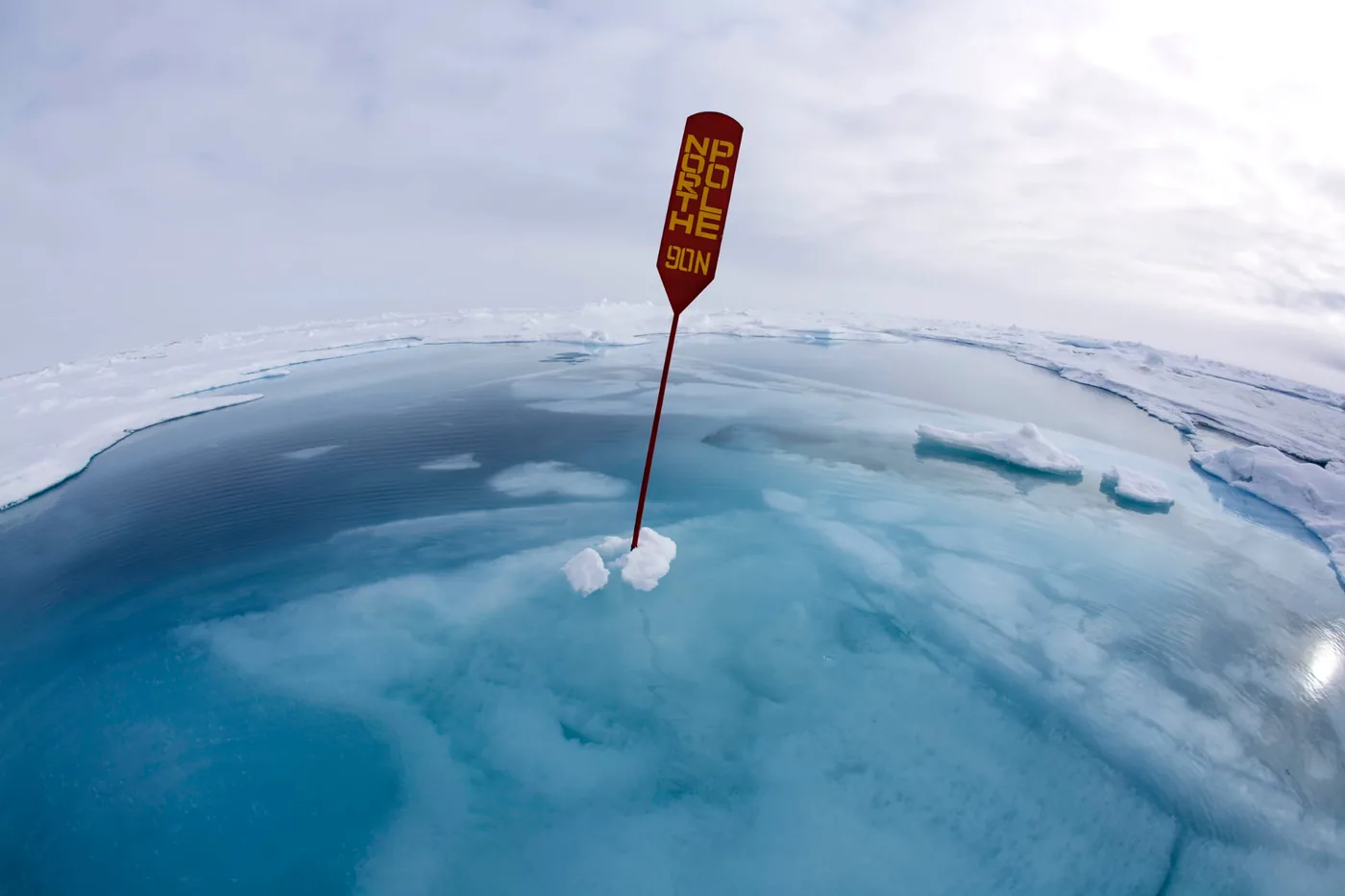 Winners of Science Photographer of the Year 2020 | Fotografie.nl