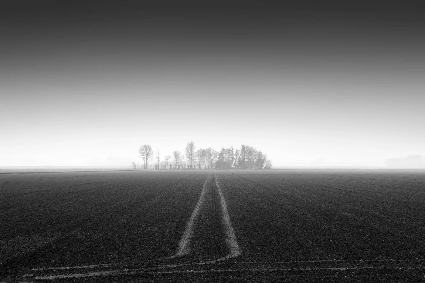 Landscapes of Zeelandic Flanders Win International Honors | Fotografie.nl