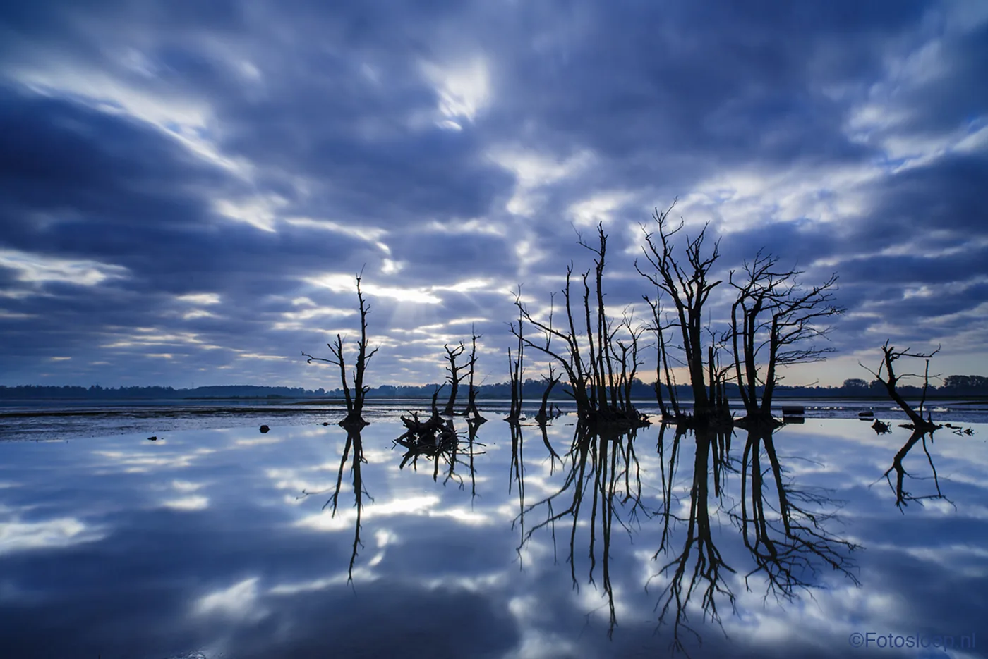 The Tao of Wetland Photography – Photographer Bas Breetveld | Fotografie.nl