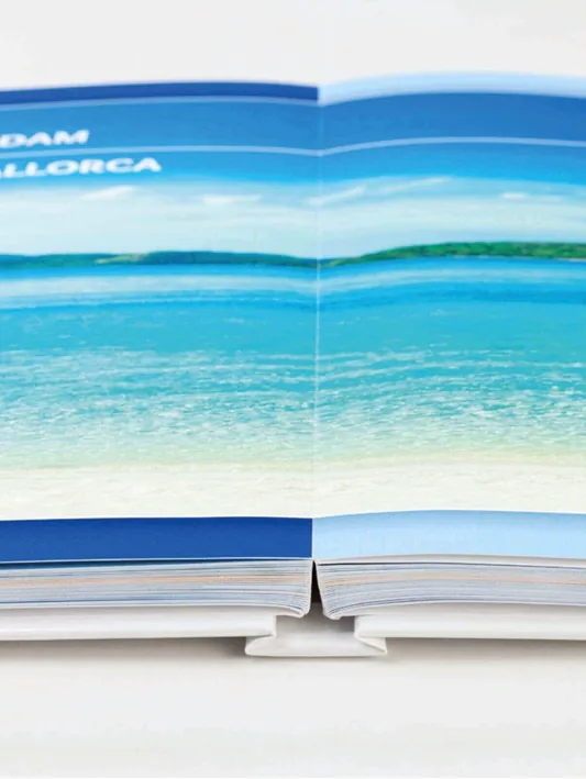 thumbnail image article