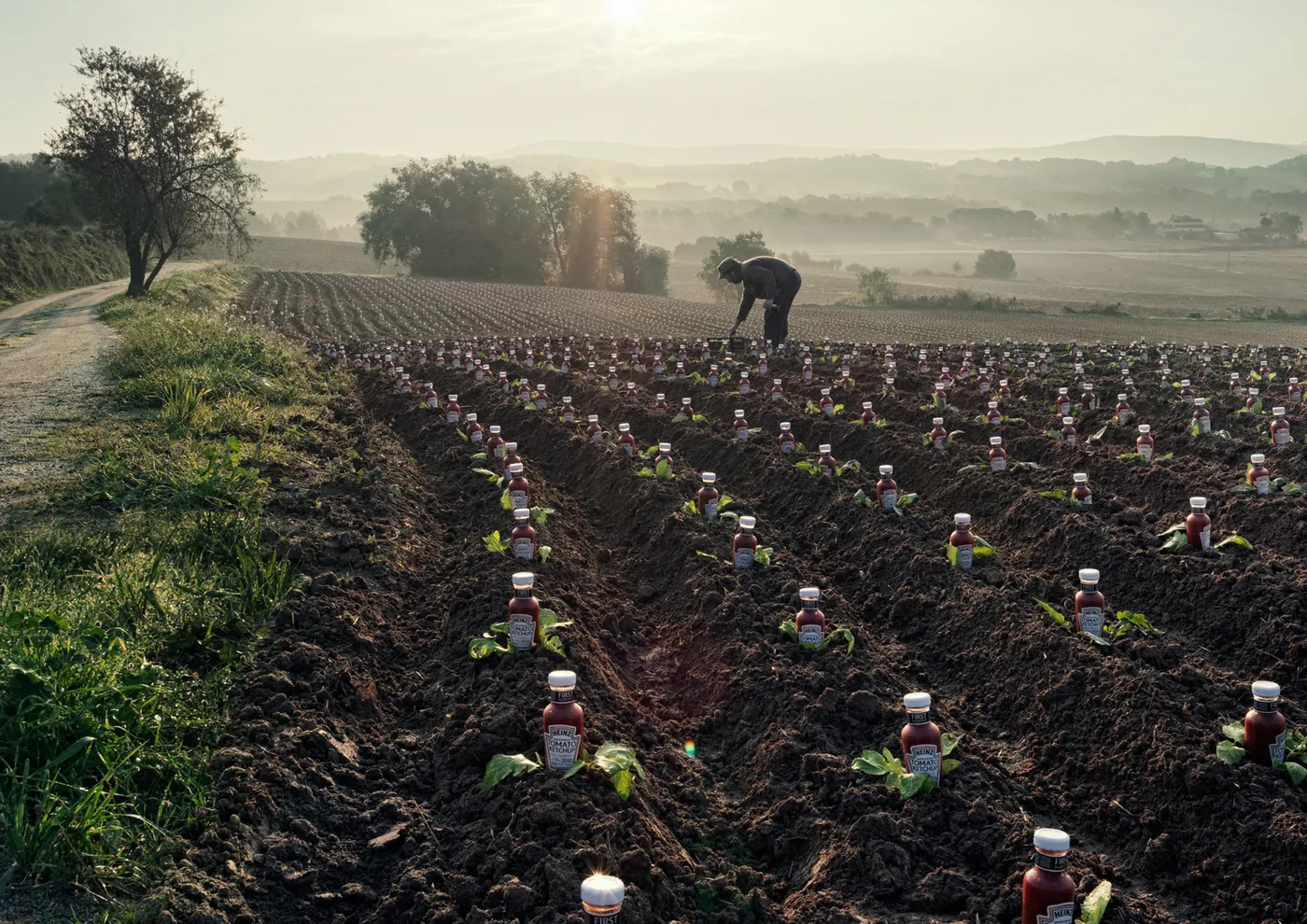 Photographer Maurice Heesen Wins Awards | Fotografie.nl