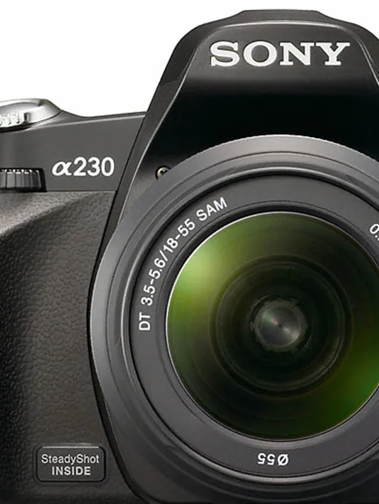 thumbnail image article