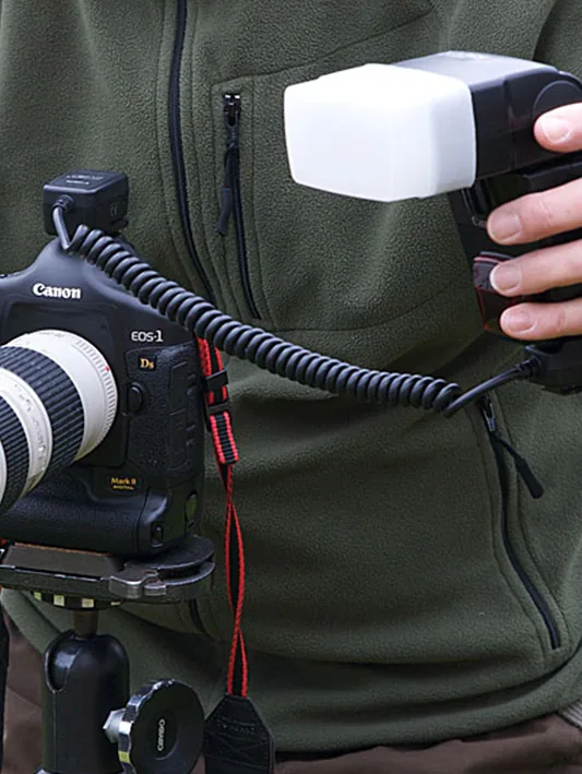 thumbnail image article