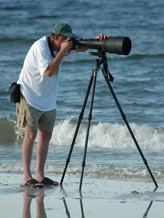 thumbnail image article