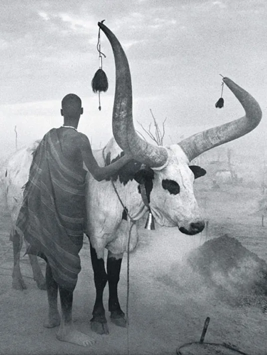 Africa - Sebastião Salgado