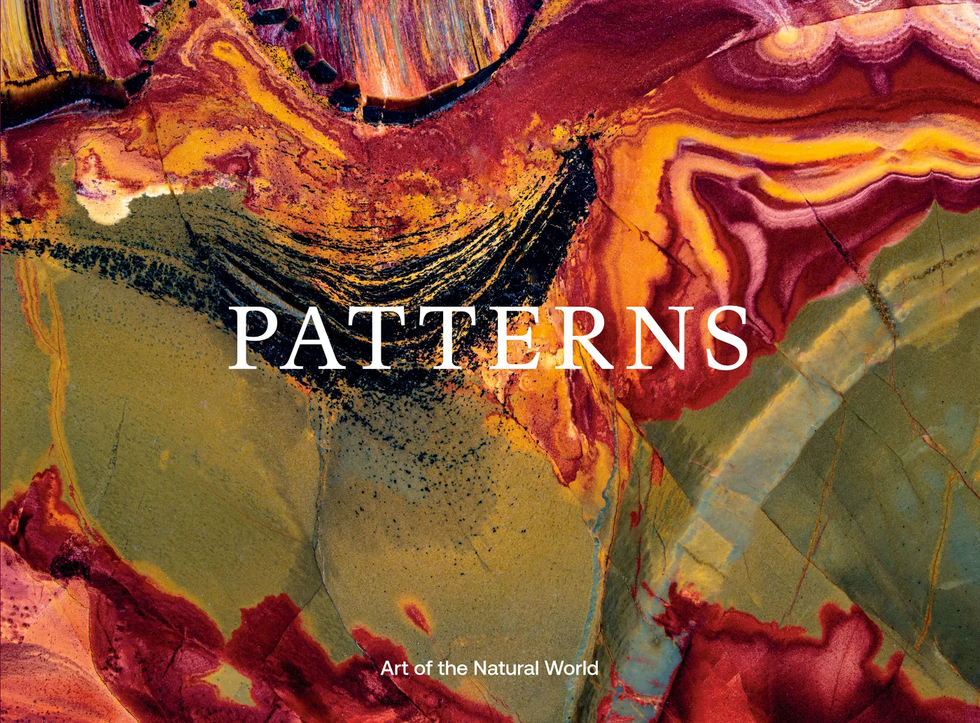 Jon McCormack Reveals Patterns in Nature in a New Photo Book