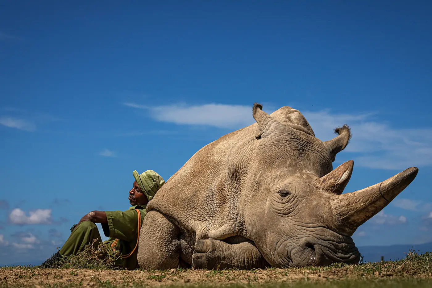 Matjaz Krivic, Pejeta Conservancy, Nanyuki, Kenia, Travel Photographer of the Year 2022, winner/TPOTY.com