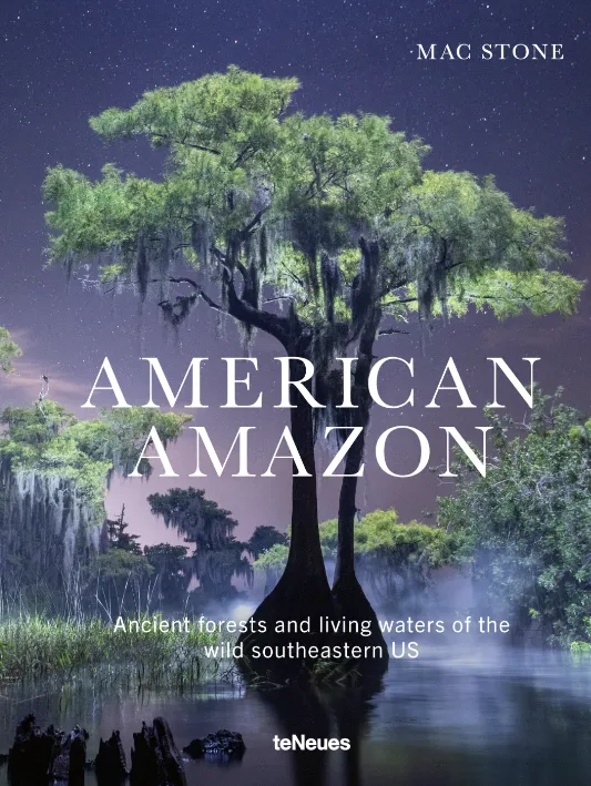 American Amazon