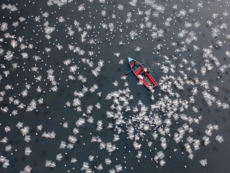 International Aerial Photographer of the Year 2026