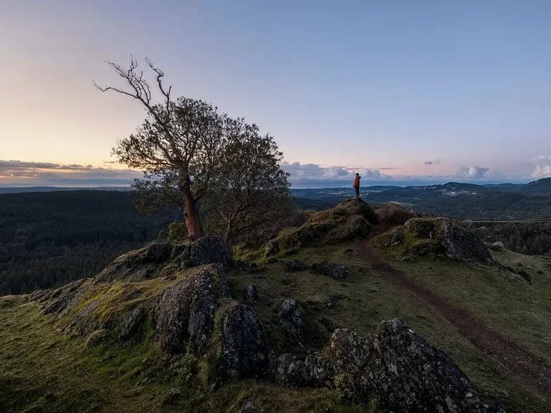 Natuurfotografie met de FUJIFILM X Serie