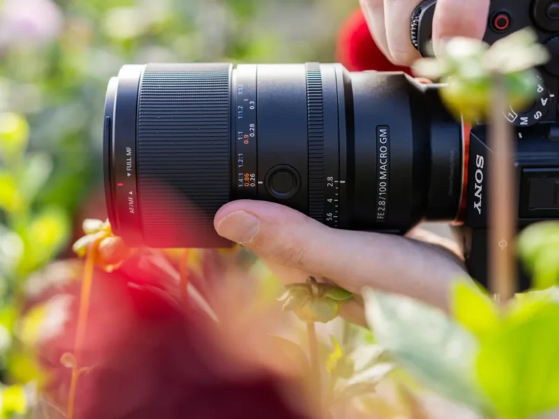 Sony FE 100 mm F2.8 Macro GM OSS