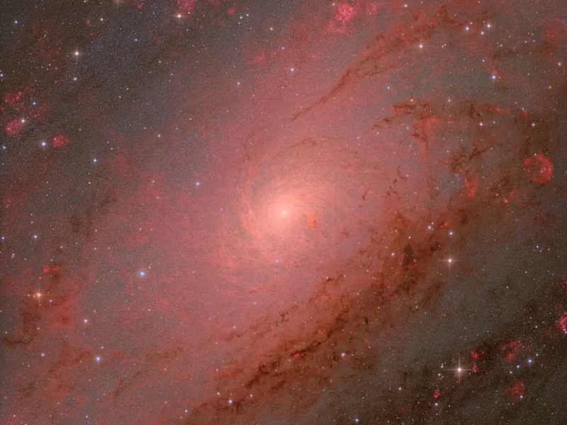 Astronomy Photographer of the Year 2025