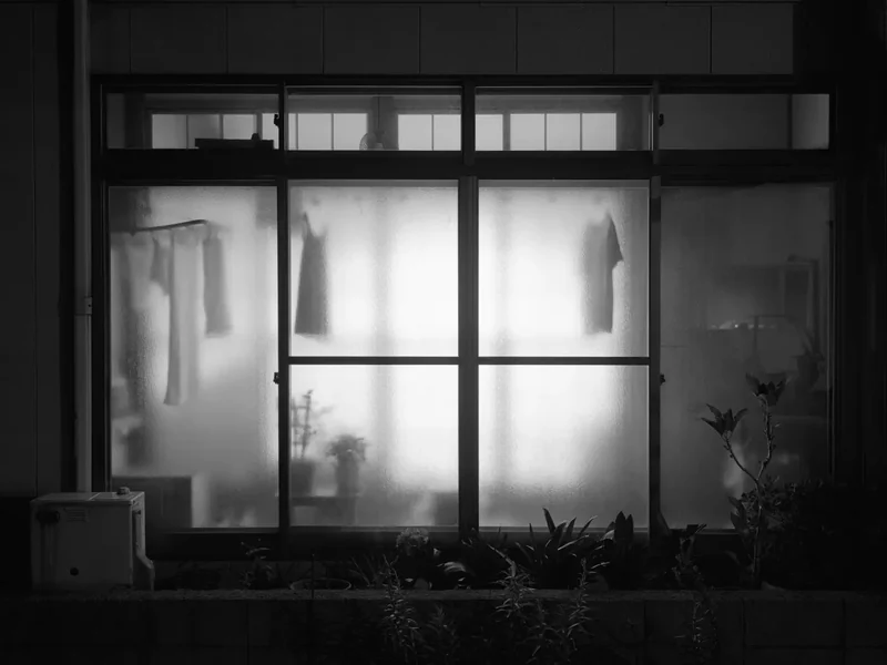 The Humanness of Our Lonely Selves - Awoiska van der Molen