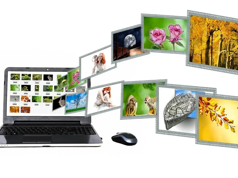 Online vs. Offline: hoe kun je het beste foto's opslaan?