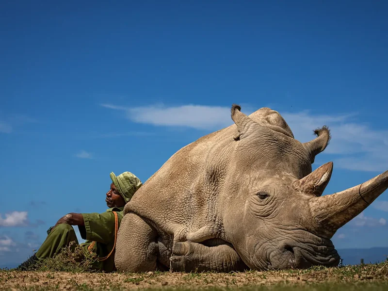 Winnaar Travel Photographer of the Year 2022