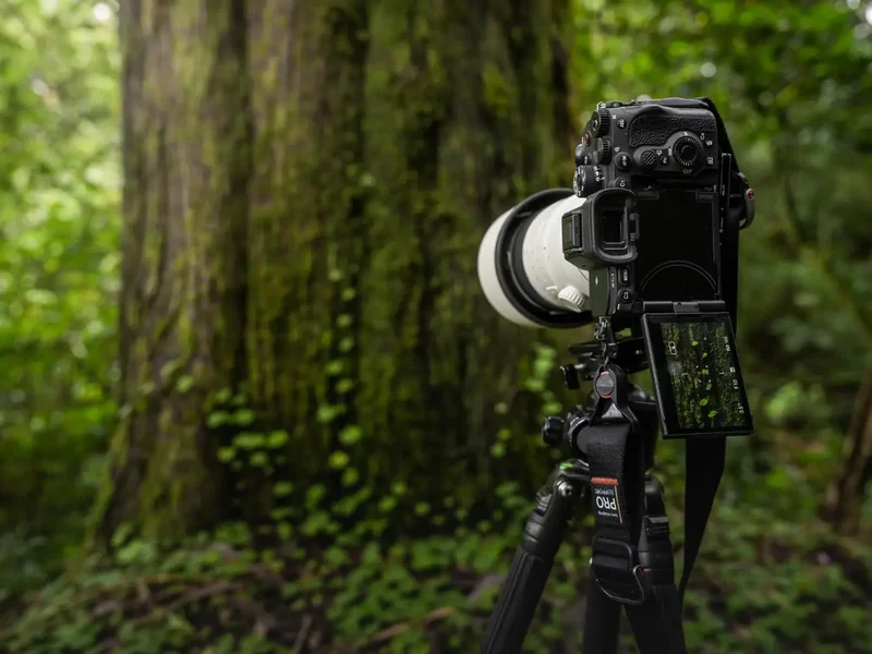 The New Sony Alpha 7R V