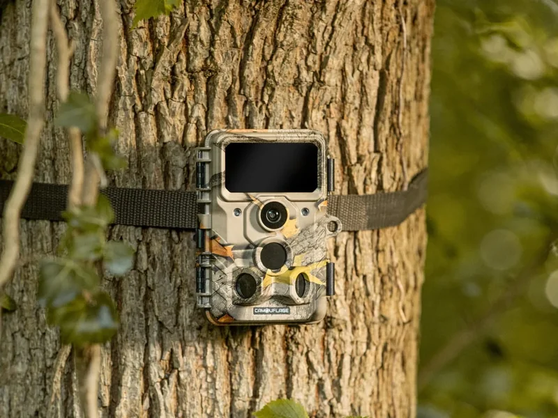 Fotograferen met een wildcamera voor wildlife fotografie