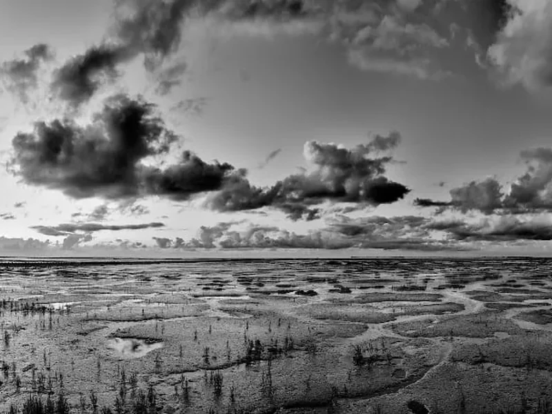 Time & Tide: Panoramische foto's van Siebe Swart